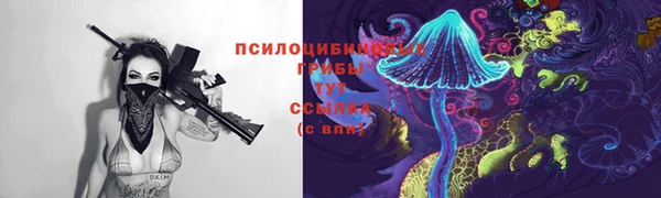дмт Аркадак
