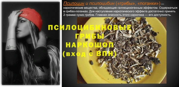 дмт Аркадак