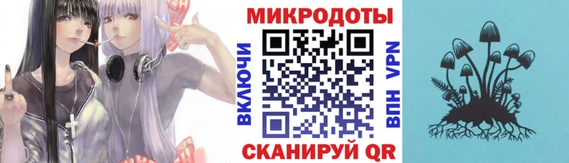 где можно купить   Осинники  Псилоцибиновые грибы Cubensis 