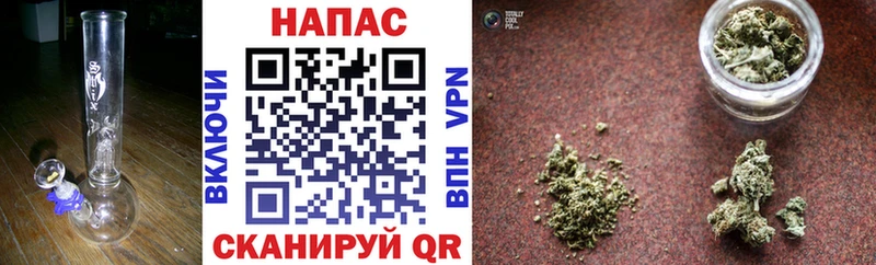 Шишки марихуана сатива Осинники